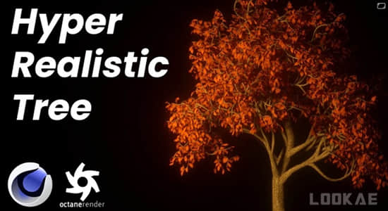 C4D教程-使用Octane制作简单逼真的树木场景 Skillshare – How to make an Easy Realistic Nature Tree Scene in Cinema 4D Octane